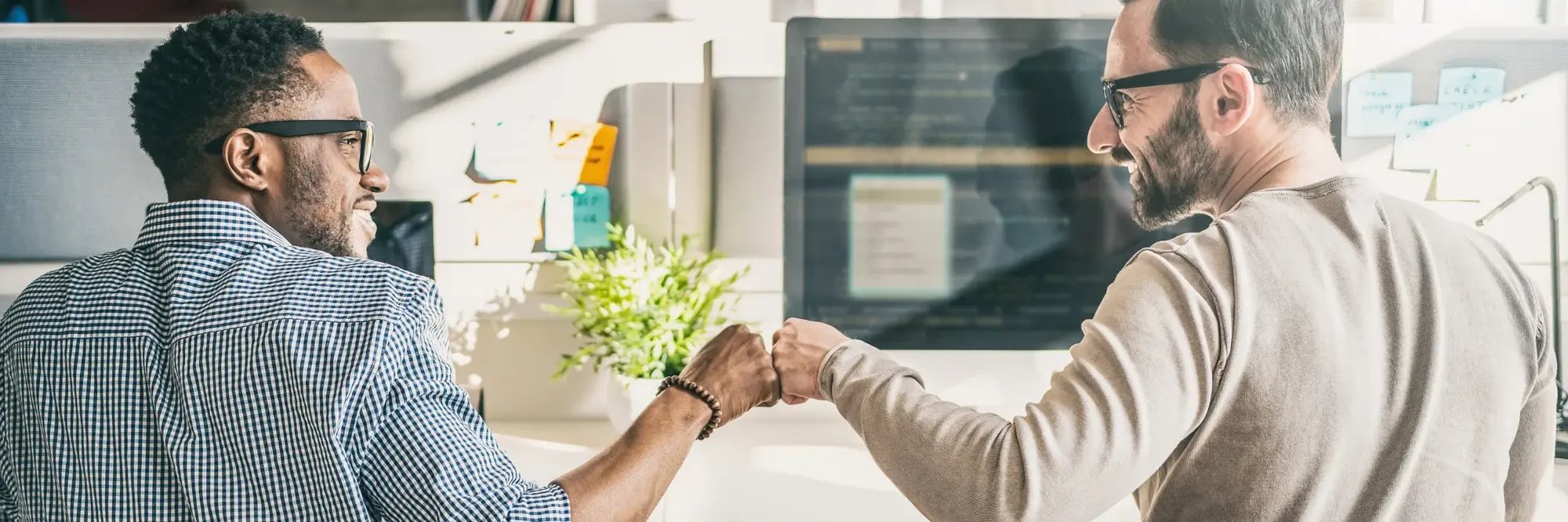 Untitled design (17)