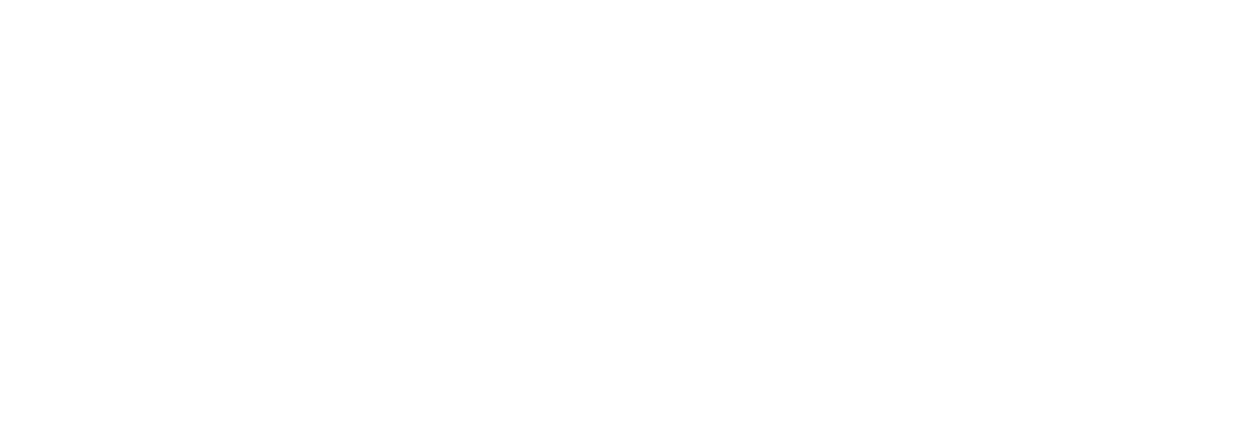 The-Hague-University-of-Applied-Sciences-logo-white